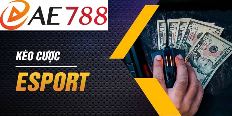 Sân chơi cung cấp tất cả các thể loại kèo cược Esport Sân chơi cung cấp tất cả các thể loại kèo cược Esport